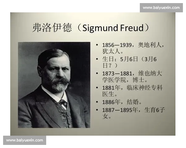 持续优化与自我超越的路径探索与实践指南
